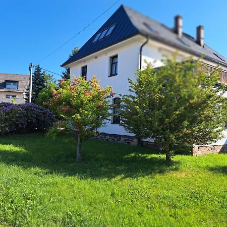 Ferienwohnungen Reiterhof Lienemann Grünbach Екстериор снимка